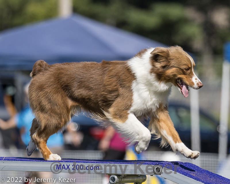 20220917-pvkc-1429.jpg
