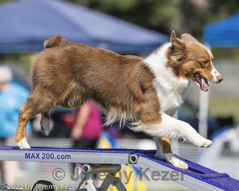 20220917-pvkc-1430.jpg