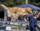 20220917-pvkc-1449