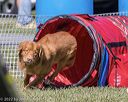 20220917-pvkc-1450
