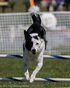 20220917-pvkc-1539