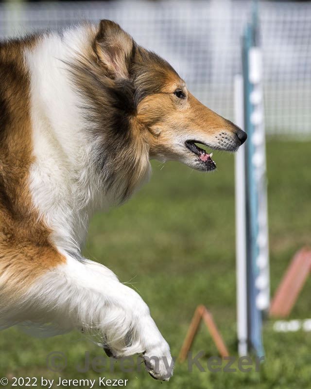 20220917-pvkc-1527.jpg