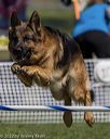 20220917-pvkc-1548