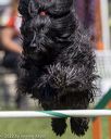 20220917-pvkc-1595