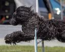 20220917-pvkc-1598