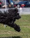 20220917-pvkc-1602