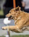 20220917-pvkc-1621