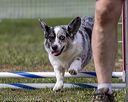 20220918-pvkc-0462