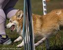 20220918-pvkc-0361