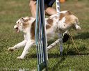 20220918-pvkc-0426