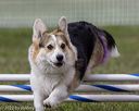 20220918-pvkc-0433