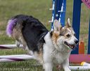 20220918-pvkc-0436