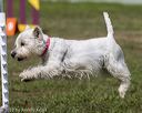 20220918-pvkc-0439