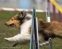 20220918-pvkc-0285