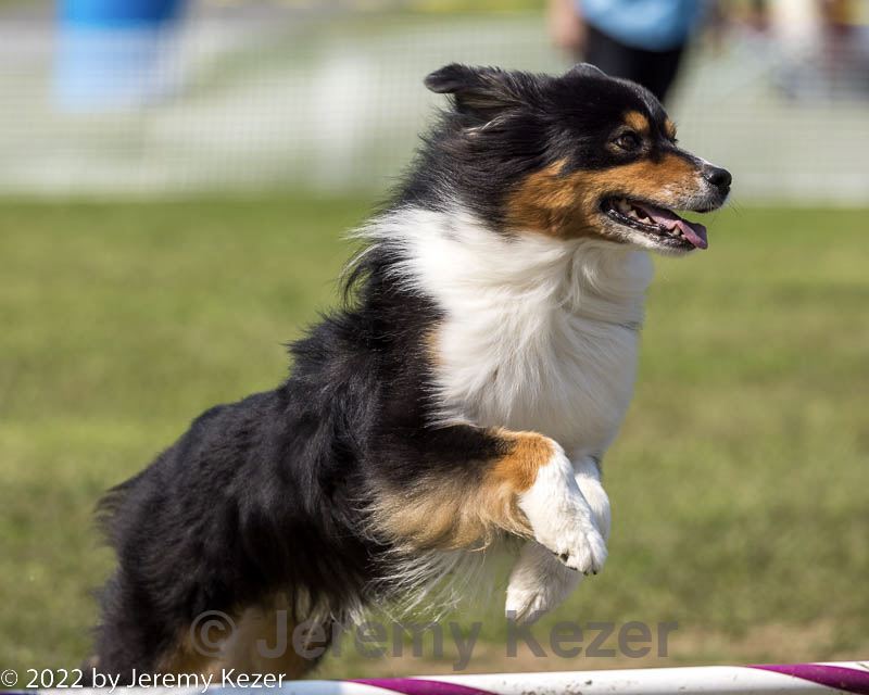 20220918-pvkc-0317.jpg
