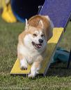20220918-pvkc-1031