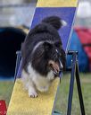 20220918-pvkc-0911