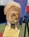 20220918-pvkc-0917