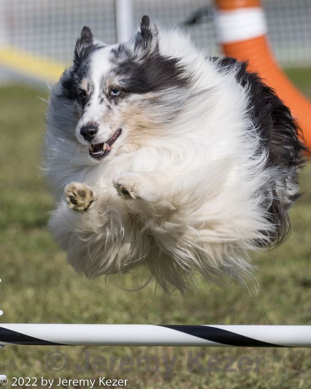 20220918-pvkc-0951.jpg