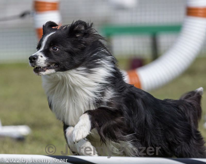 20220918-pvkc-0810.jpg