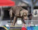 20220918-pvkc-0615