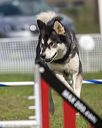 20220918-pvkc-0535