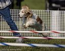 20220918-pvkc-0041