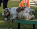 20220918-pvkc-0053