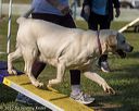 20220918-pvkc-0029