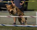 20220918-pvkc-8000