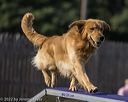 20220918-pvkc-8003