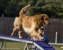 20220918-pvkc-8005