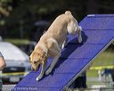 20220918-pvkc-0477