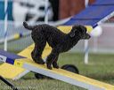 20220918-pvkc-3426