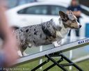 20220918-pvkc-3416