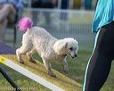 20220918-pvkc-3282