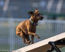 20220918-pvkc-3294
