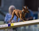 20220918-pvkc-3296