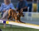 20220918-pvkc-3297
