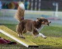 20220918-pvkc-3197