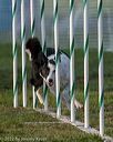 20220918-pvkc-3198