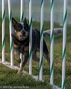 20220918-pvkc-3219