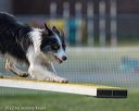 20220918-pvkc-3233