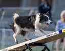 20220918-pvkc-3237