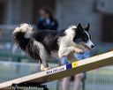 20220918-pvkc-3238