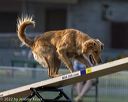 20220918-pvkc-3249