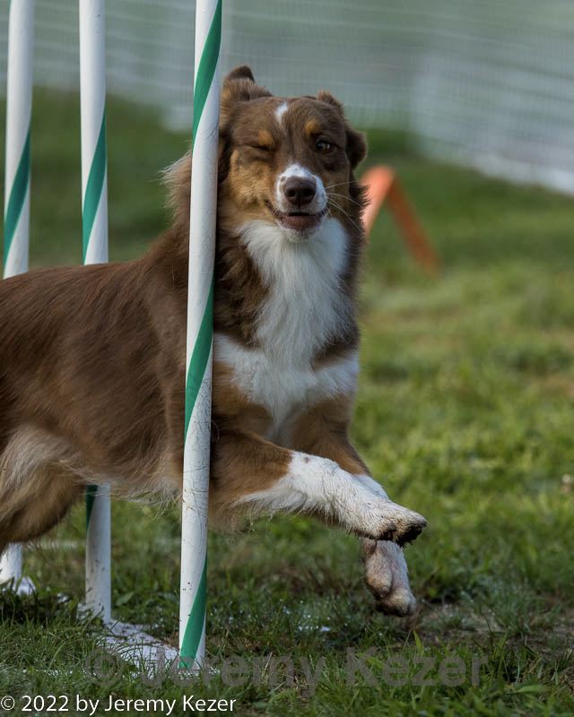 20220918-pvkc-3194.jpg