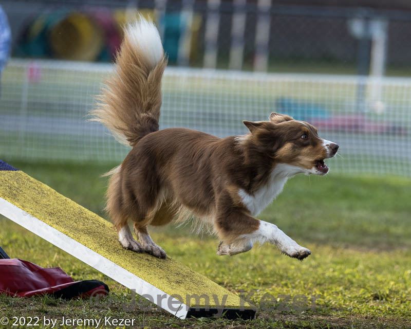 20220918-pvkc-3197.jpg