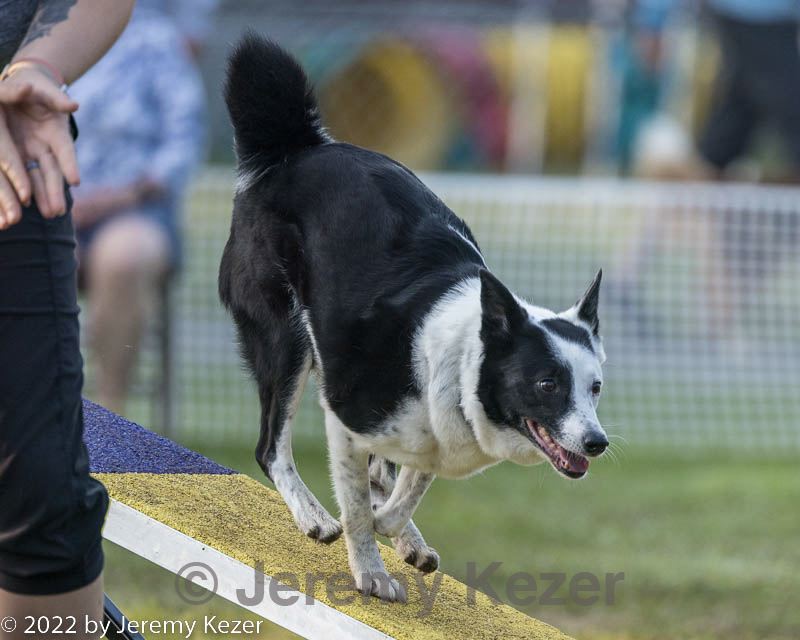 20220918-pvkc-3203.jpg