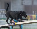 20220918-pvkc-3046